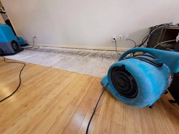 Professional Structural Drying technician working in Bloomingdale, TN